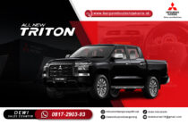 New Triton