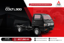 L300